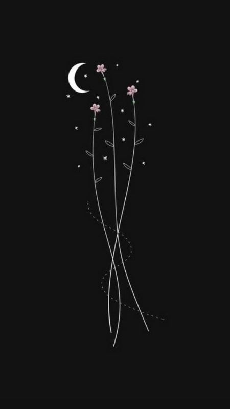 50 hình nền đẹp ngầu 3d đẹp cho điện thoại, máy tính, 50+ hình nền điện thoại hài hước, cute