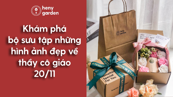 Top 50 hình Ảnh Đẹp 20/11 kỷ niệm ngày nhà giáo việt nam Đẹp nhất