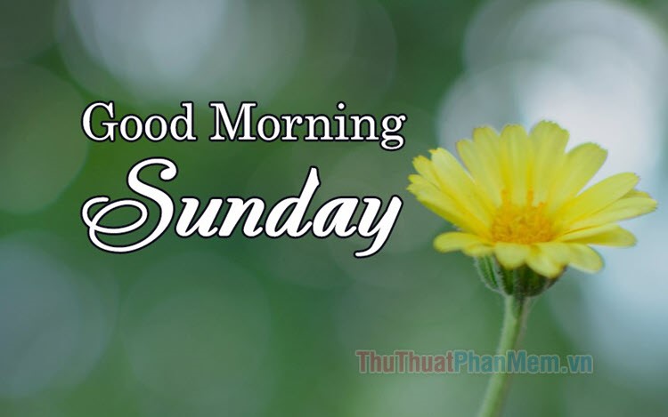 101 mẫu hình ảnh đẹp chào thứ 5 đẹp nhất, chất lượng cao, tải miễn phí