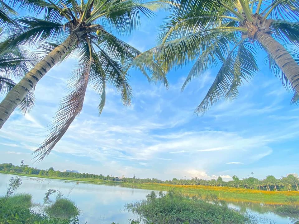 Ảnh Đẹp ecopark - thành phố xanh ecopark