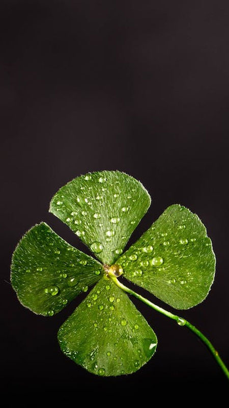 Ảnh đẹp hình nền ý nghĩa nhất, hình nền ý nghĩa đẹp cho điện thoại và máy tính