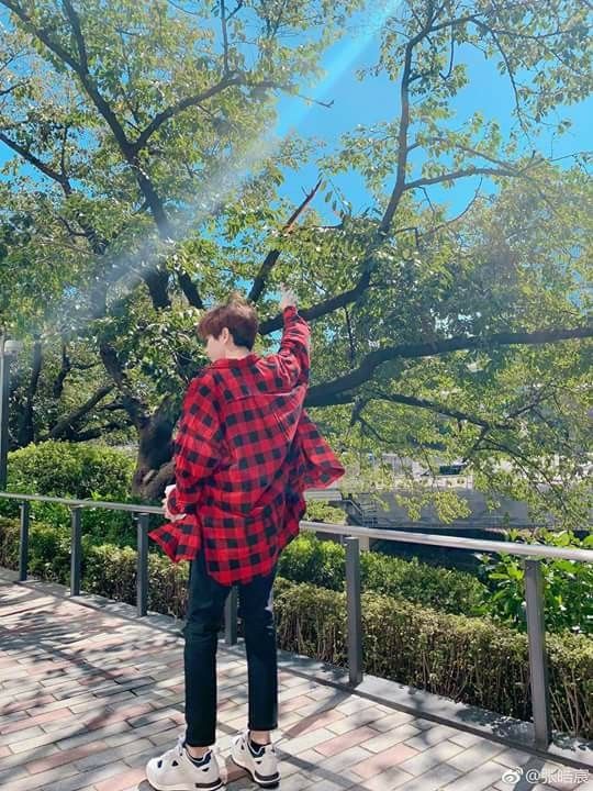 Chụp Ảnh Đẹp quay lưng lại, 65 chụp Đằng sau lưng Ý tưởng