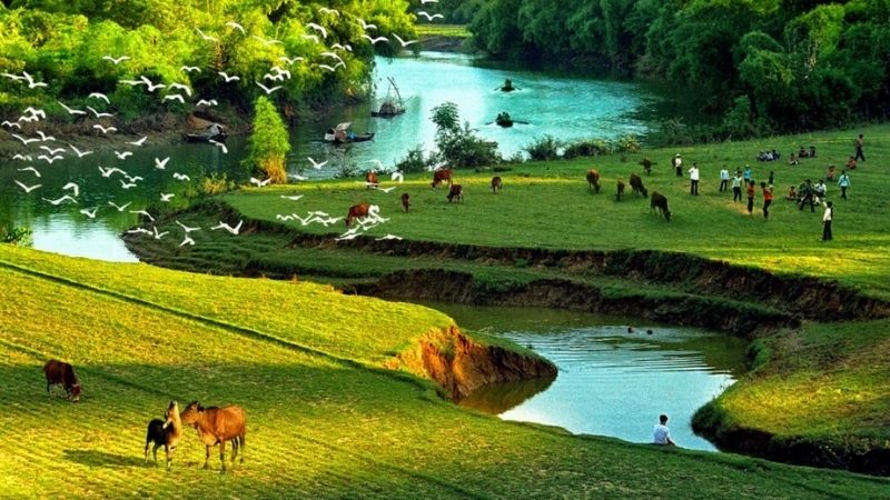 1000+ hình ảnh đẹp quê hương việt nam tuyệt đẹp, hình ảnh quê hương việt nam đẹp nhất