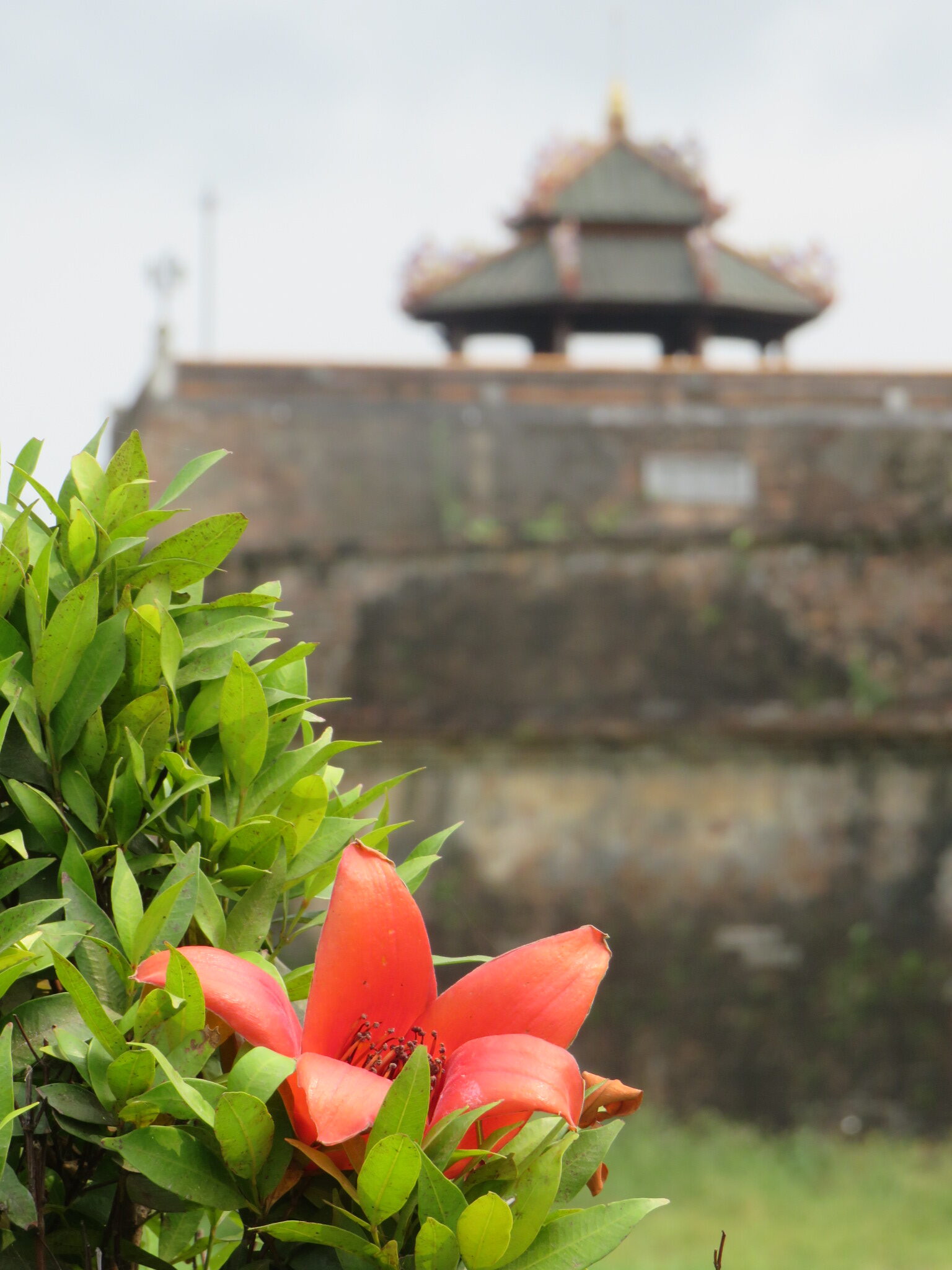 Chụp ảnh đẹp xứ huế - những bức ảnh ấn tượng nhất về huế