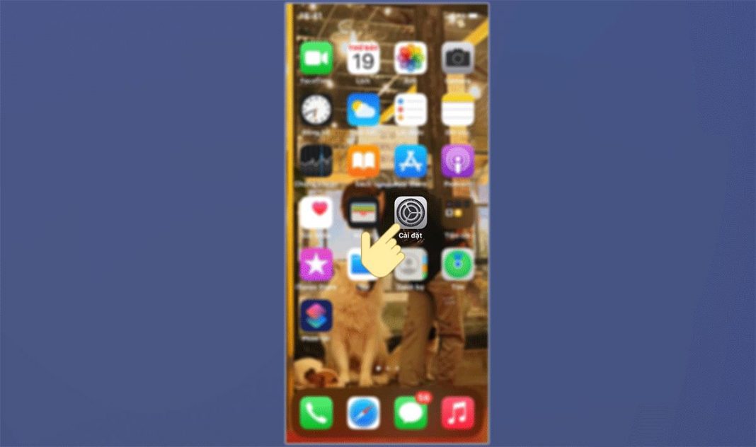 Ảnh nền iphone 13 pro trong 2024, hình nền iphone 13 pro