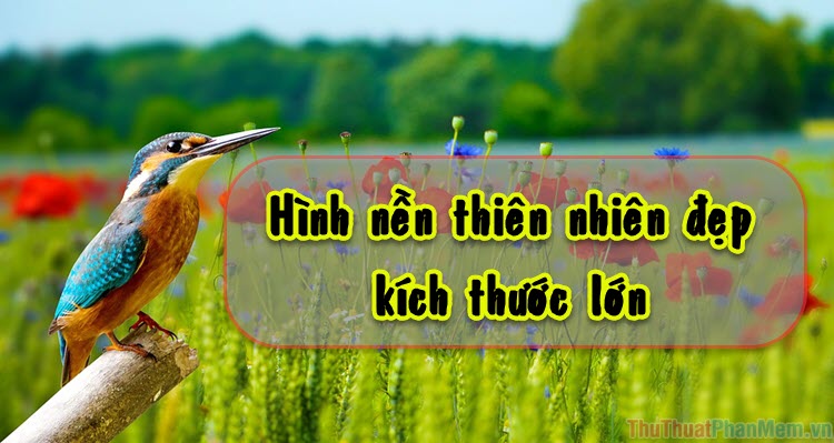 Ảnh thiên nhiên đẹp 4k đẹp, bao la, hùng vĩ nhất, zicxa photos