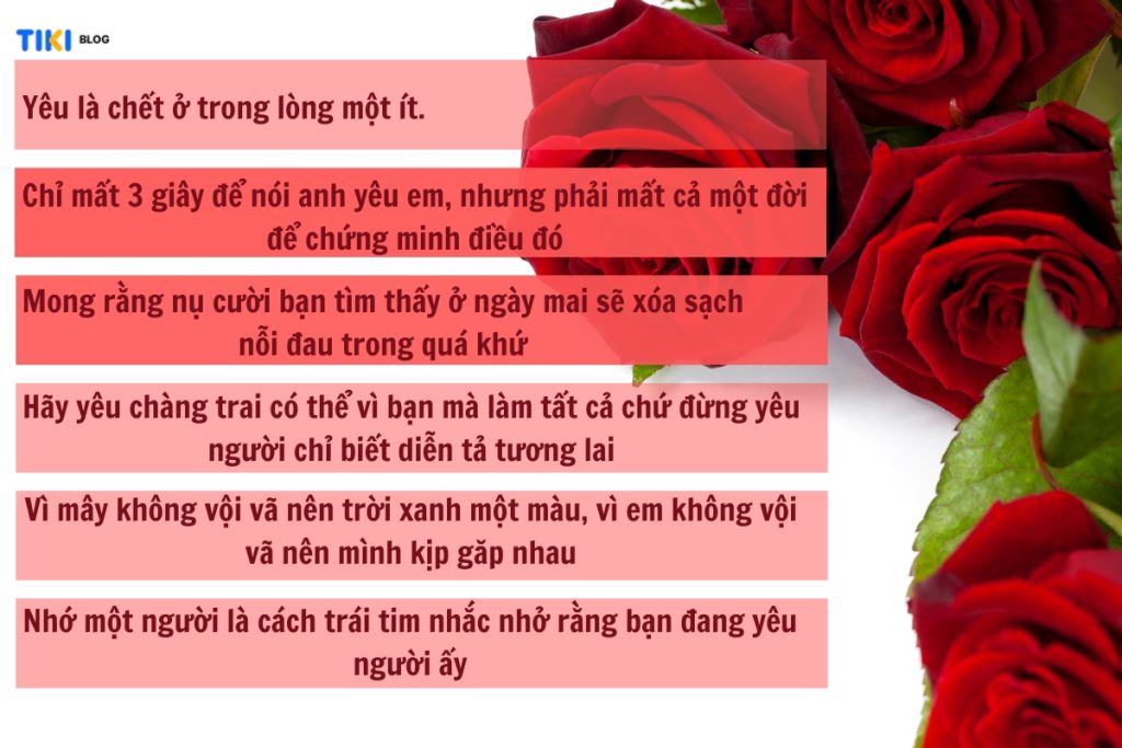 Chùm ảnh tình yêu siêu to khổng lồ
