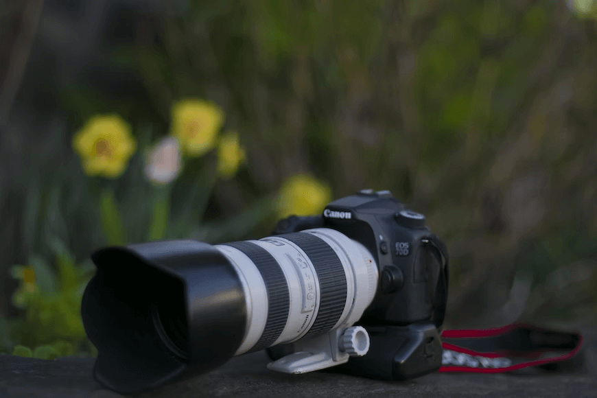 Cách chụp ảnh đẹp bằng máy canon 750d cho người mới, chụp ảnh chuyên nghiệp với 10 mẹo bỏ túi sau đây