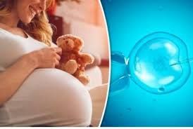 Hình ảnh phôi ngày 5 đẹp - phôi ngày 5 loại 1, 2, 3 là gì