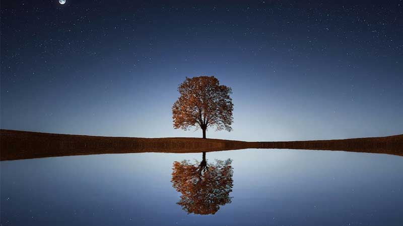 Tải 25+ hình nền 3d cute dễ thương 3d, hình nền điện thoại 3d động cute