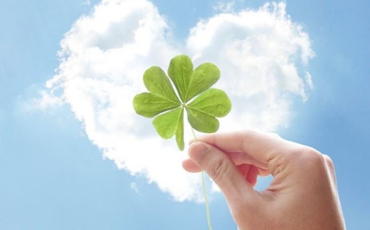 Ngập tràn may mắn với bộ hình nền Ảnh cỏ 4 la may mắn Đẹp cho iphone