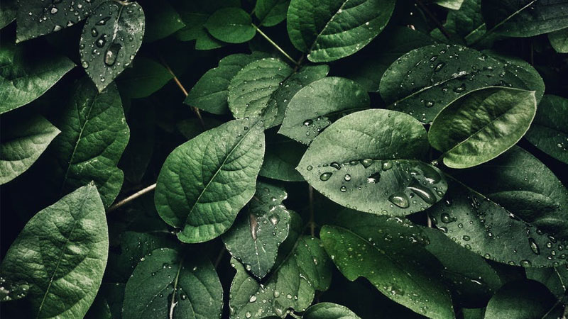 Top 100 hình nền đẹp 3d dễ thương cho máy tính và điện thoại