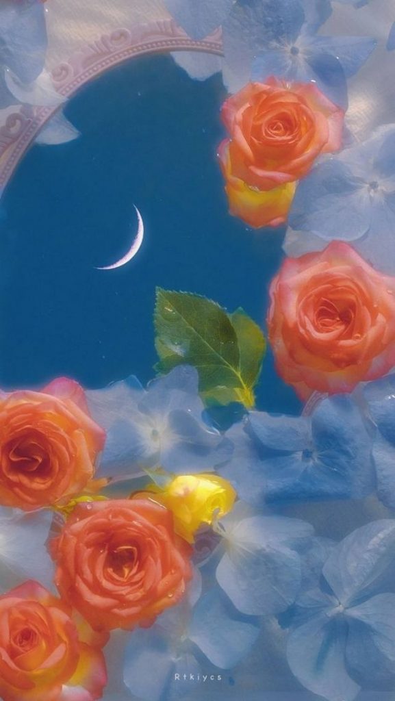 Top hình nền đẹp cho iphone 14 pro max, hình nền đẹp cho iphone 14 pro