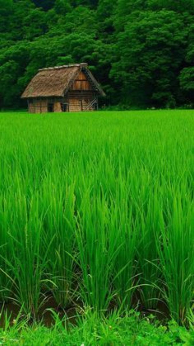 120+ hình nền Điện thoại Đẹp nhất 2022 4k cực chất & Độc Đáo Đẹp nhất 2024