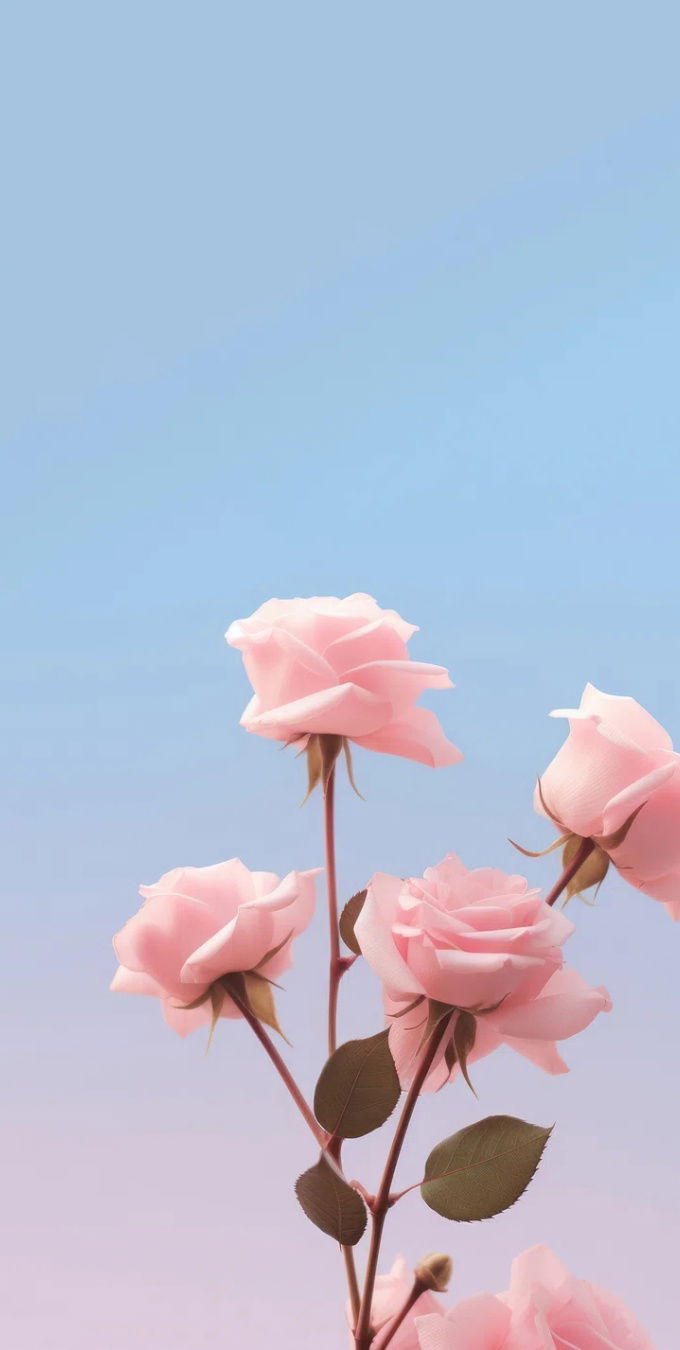 199+ hình nền hoa Đẹp cho Điện thoại, top 100+ hình nền hoa mẫu Đơn Đẹp nhất 2024