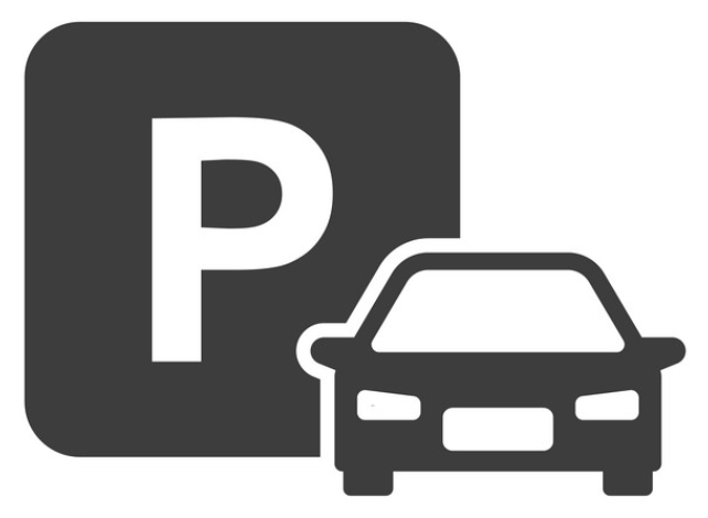 Top 60 hình nền hoa mai cho điện thoại, hình nền mai vàng đẹp cho ngày tết, hình nền động