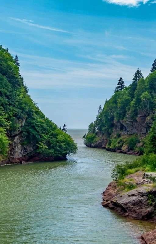 Tải 100+ hình nền iphone đẹp nhất the giới, tải 100+ hình nền iphone 11 đẹp nhiều chủ đề