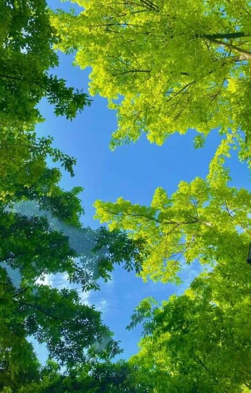 Hình nền may mắn trong kỳ thi Đẹp, Ý nghĩa, chất lượng cao, 200+ hình nền may mắn linh nghiệm nhất 2024