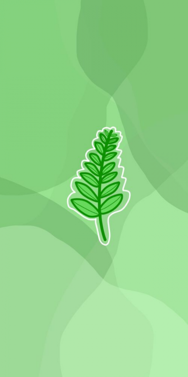 Top 100+ hình nền xanh đẹp mà bạn không thể bỏ qua, 2220000+ vé miễn phí màu xanh lá tấm ảnh nền