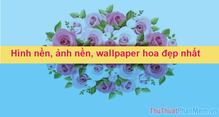 256844 hình Ảnh miễn phí của hoa Đẹp Ảnh, khám phá bộ sưu tập hình nền hoa Đẹp nhất
