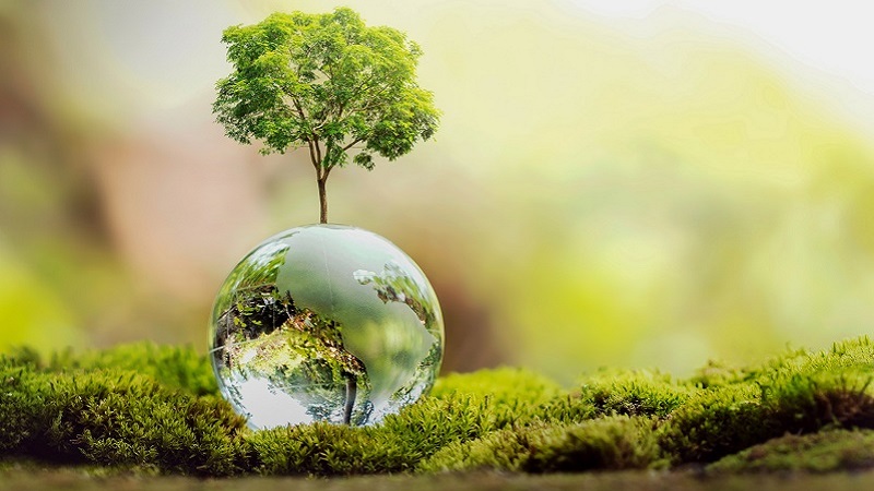 Những hình ảnh đẹp tự nhiên, 3d, dễ thương và ngầu, just a moment