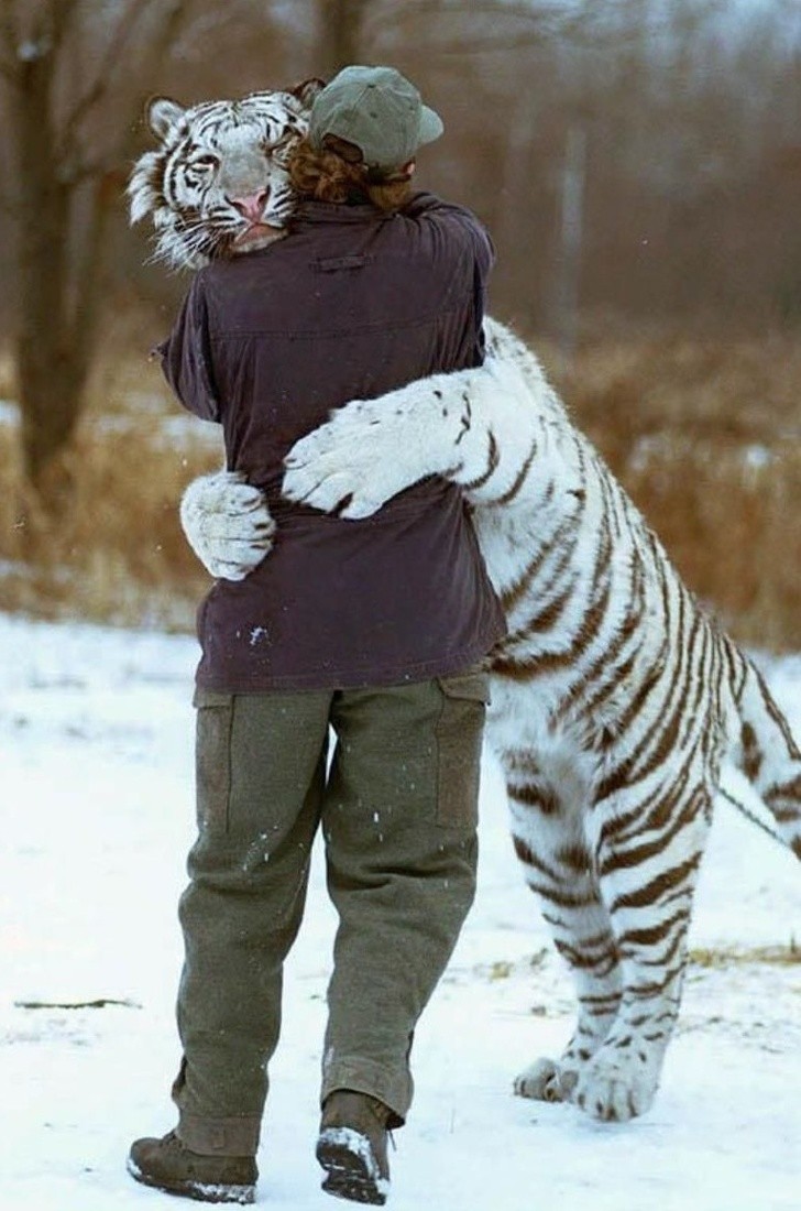 Những hình ảnh yêu thương con người và trái tim, vẽ tranh yêu thương con người