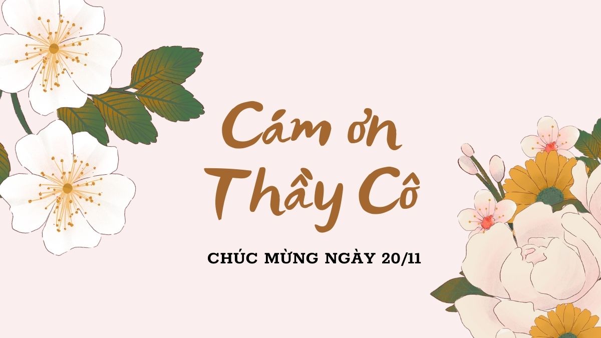 Tải hình Ảnh 20/11 Đẹp nhất 2023, 45+ mẫu background 20